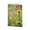 Grußkarte „Wildes Blumenmeer“ kaufen im UNICEF Grußkartenshop. Bild 2