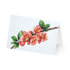 Grußkarte „Minikarten Blütenzweige“ kaufen im UNICEF Grußkartenshop. Bild 5