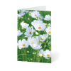 Grußkarte „Blumenwiese“ kaufen im UNICEF Grußkartenshop. Bild 5