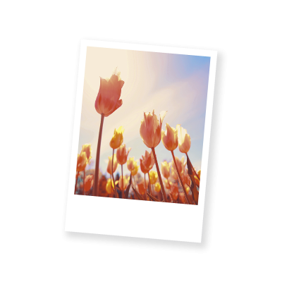 Grußkarte „Postkarten Blumenpolaroids“ kaufen im UNICEF Grußkartenshop. Bild 1